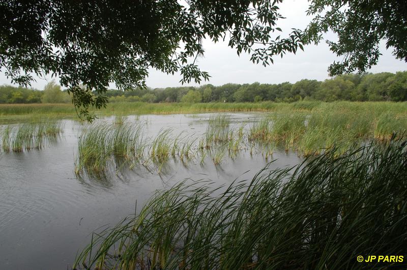 Santa Anna National Wildlife R